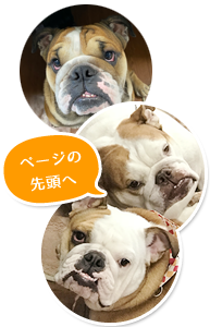 ページの先頭へ